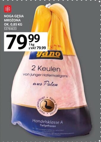 Selgros Noga gęsia mrożona ok. 0,85kg oferta