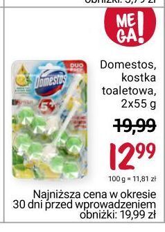 Rossmann Zawieszka do wc green tea & citrus domestos power5+ oferta