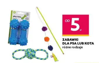 Dealz Gryzak dla psa oferta