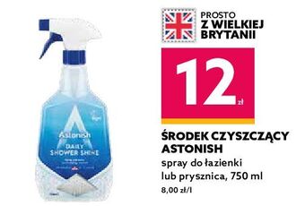 Dealz Spray do czyszczenia kabin prysznicowych astonish oferta