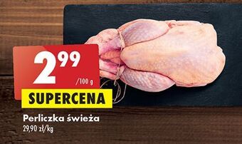 Biedronka Perliczka świeża oferta