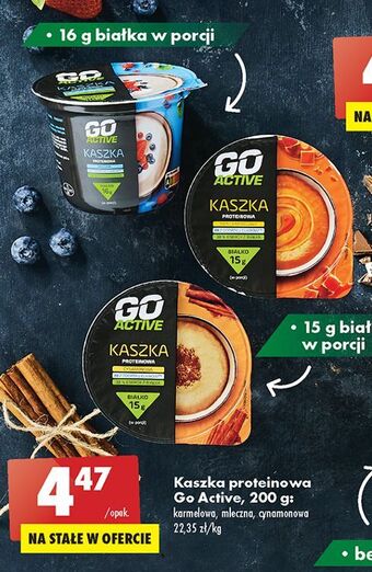 Biedronka Kaszka proteinowa cynamonowa go active oferta