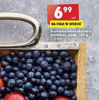 Biedronka Borówka amerykańska oferta