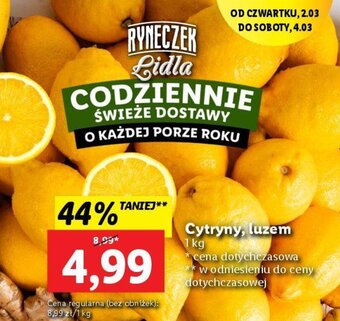 Lidl Cytryny 1kg oferta
