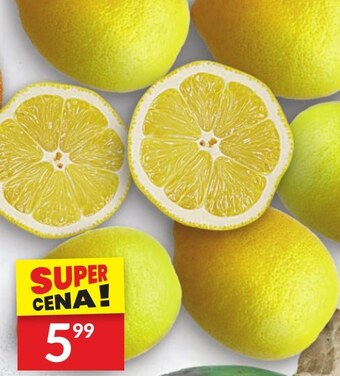 Twój Market Cytryna oferta