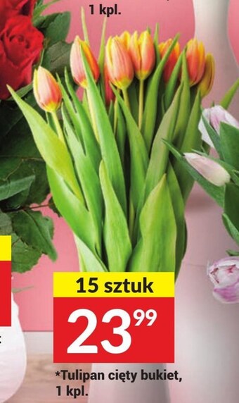 Twój Market Tulipan oferta