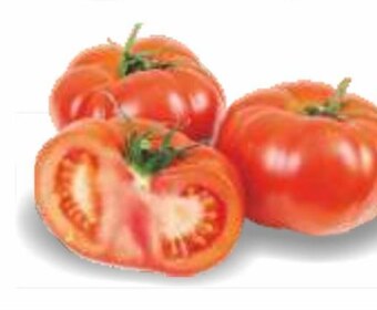 Społem Pomidory oferta