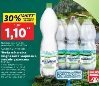 Lidl Saguaro Muszyńskie Woda mineralna magnezowo-wapniowa, średnio gazowana 1,5l oferta