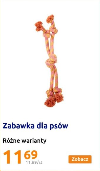 Action Zabawka dla psów oferta