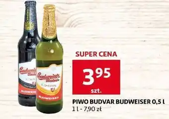 Auchan Piwo budweiser dark oferta