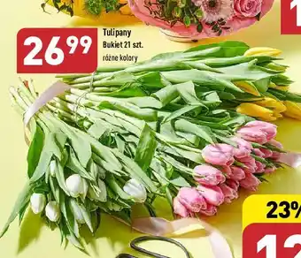 ALDI Tulipany bukiet oferta