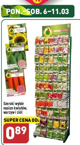 ALDI Nasiona warzyw oferta