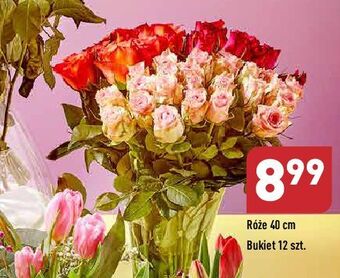 ALDI Róże 40 cm oferta