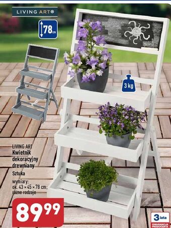 ALDI Kwietnik dekoracyjny drewniany living art oferta