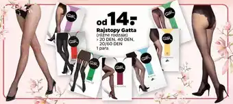 Netto Rajstopy damskie 60 den gatta oferta