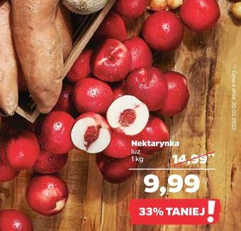 Netto Nektarynki oferta