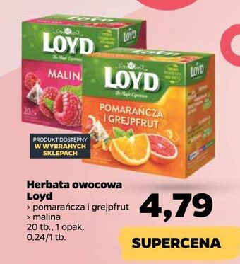 Herbata malinowa loyd tea the magic experience