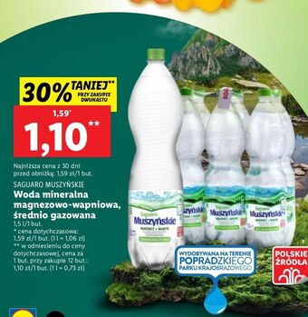 Lidl Woda średnionasycona saguaro muszyńskie oferta