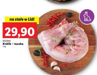Lidl Królik tusza bez antybiotyków rzeźnik codzienna dostawa oferta