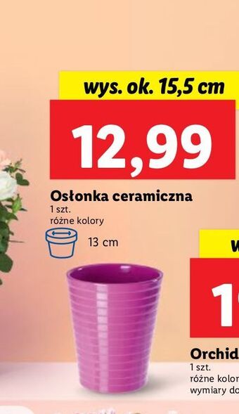 Lidl Osłonka ceramiczna 15.5 cm oferta