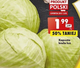 Biedronka Kapusta biała luz 1kg oferta