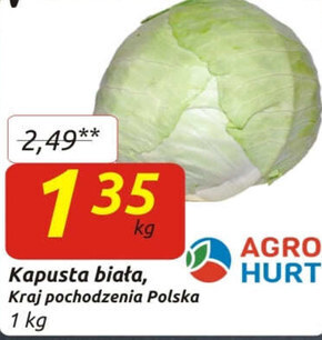 Społem Kapusta biała oferta