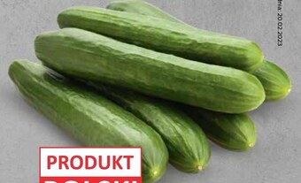Netto Ogórek oferta