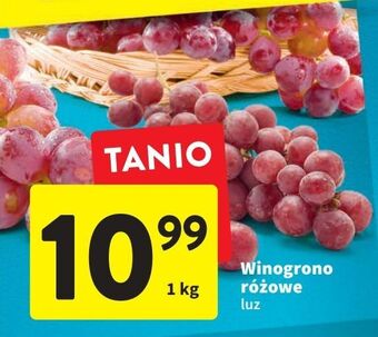 Intermarche Winogrona różowe oferta