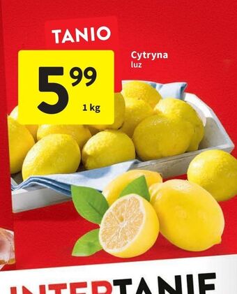 Intermarche Cytryny oferta
