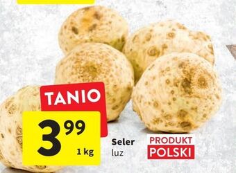 Intermarche Seler oferta