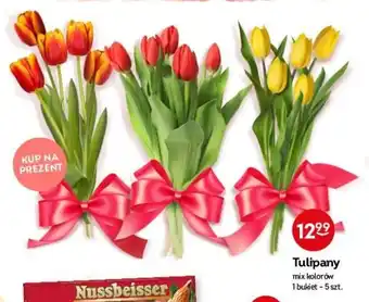 Tulipany 5szt.