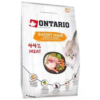 Kakadu Ontario cat short hair karma dla kota oferta
