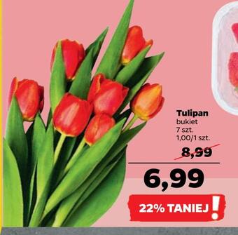 Netto Tulipan oferta