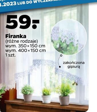 Netto Firanka oferta