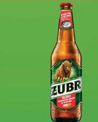 Globi Piwo żubr oferta