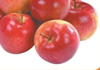 E.Leclerc Jabłka oferta