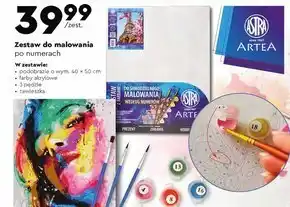 Biedronka Zestaw do malowania astra oferta