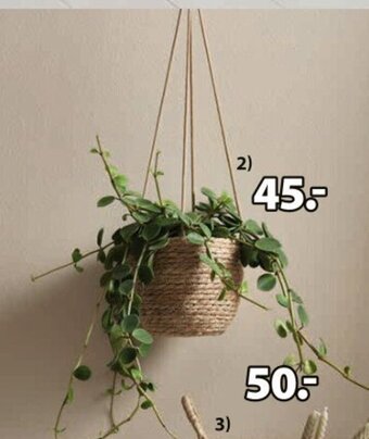 JYSK Doniczka na rośliny Stefan Ś17xW15cm oferta