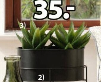 JYSK Roślina sztuczna steinar 25x30cm oferta