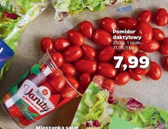 Netto Pomidory daktylowe redstar vanity oferta