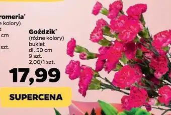 Netto Goździki oferta