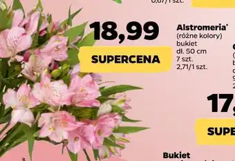 Netto Bukiet alstromeria oferta