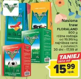 Carrefour Victoria Nasiona traw Floraland 800g oferta