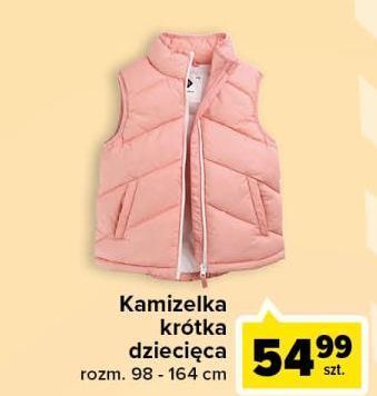 Carrefour Kamizelka dziecięca oferta