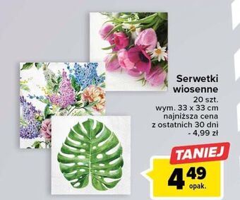 Carrefour Serwetki wiosenne wym. 33 x cm oferta