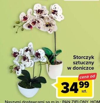 Carrefour Storczyk sztuczny oferta