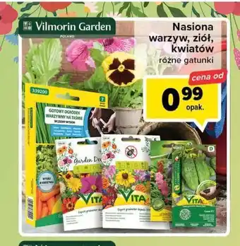 Carrefour Nasiona na taśmie vilmorin garden oferta