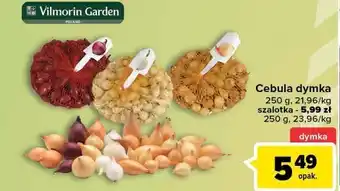 Carrefour Cebula dymka żółta vilmorin garden oferta