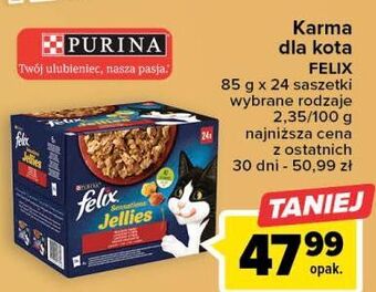 Carrefour Karma dla kota wiejskie smaki w galaretce purina felix sensations jellies oferta