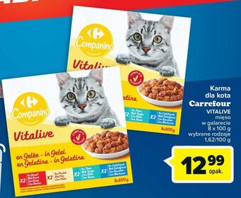 Carrefour Karma dla kota vitalive carrefour companino oferta